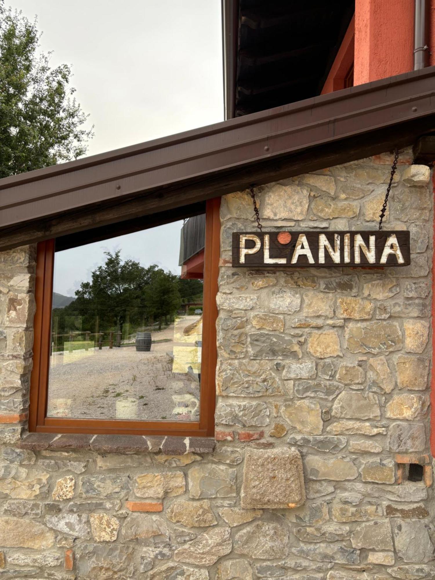 La Planina Villa Prepotto  Eksteriør billede